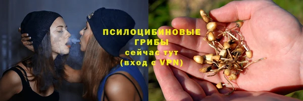 ALPHA PVP Инсар