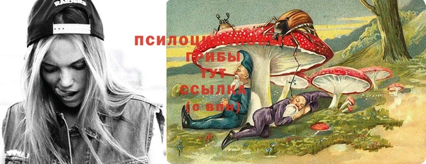 сатива Куйбышев